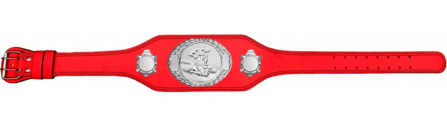 MMA CHAMPIONSHIP BELT-BUD295/S/MMAS-4 COLOURS